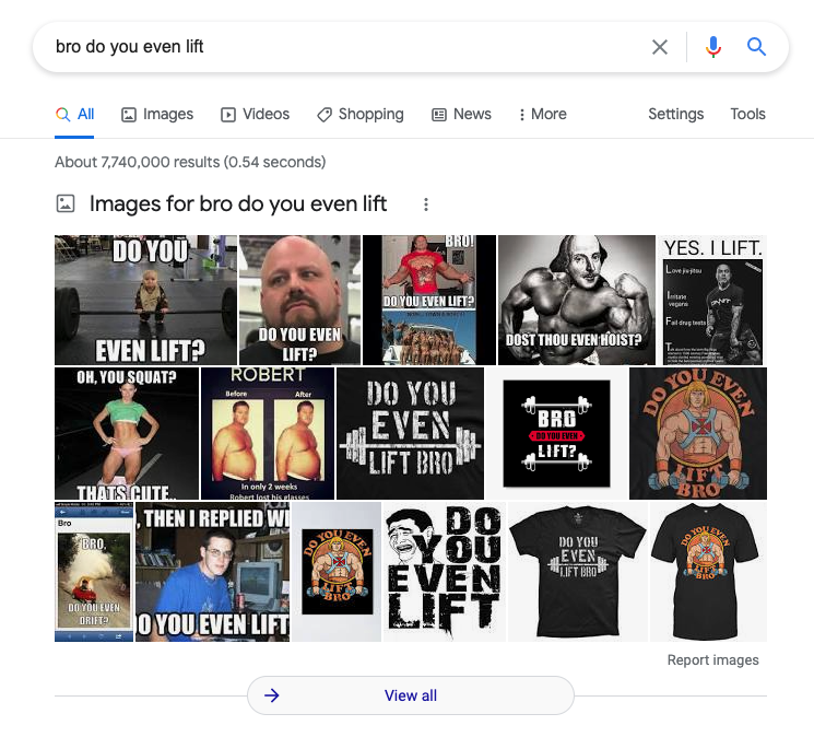 Google search results for do you even lift